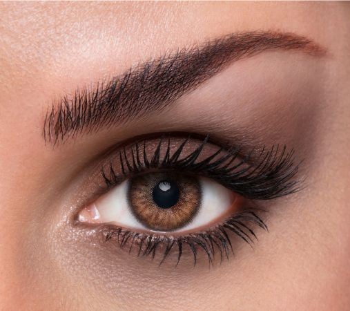 BAUSCH +LOMB LACELLE TRI-KOLOR HAZEL